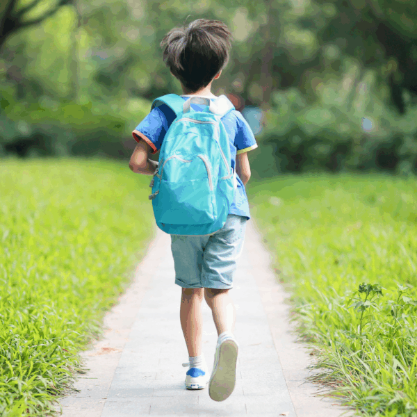 Ebook Inserimento alla materna